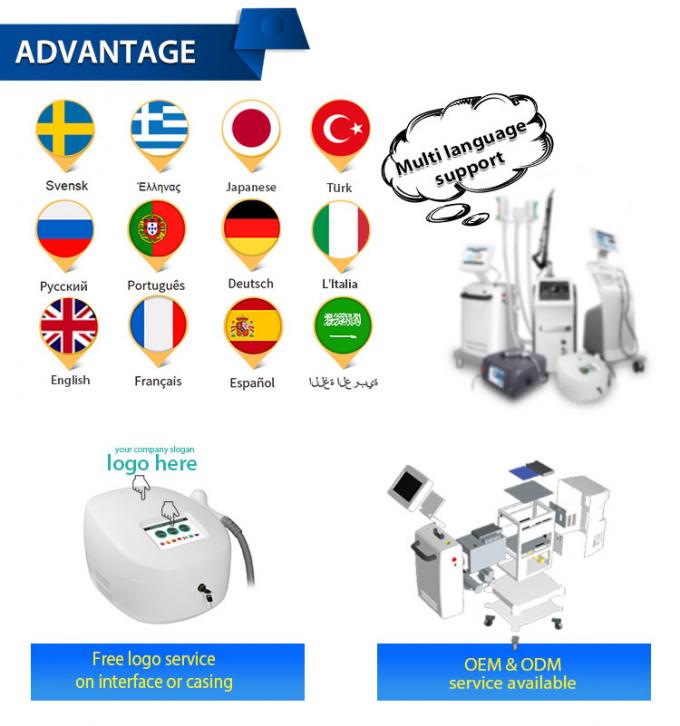 Kryotherapie Zimmer-Haut-abkühlende Maschine der Kryotherapie-800w Gesichtsder maschinen--20c 16