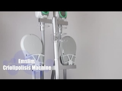 Cryolipolyse EMS fette einfrierende Hiemt Sculpting Maschine Körper-dünne Maschine Cryo