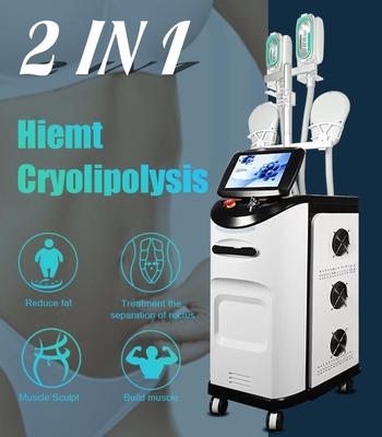 Cryo nehmen Frost-Körper-Umgestaltung Cryolipolysis-Maschine EMS Cryolipolysis Hiemt fette ab