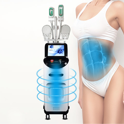 Körper, der fette Kühltechnik Maschine Cryolipolysis abnimmt Maschine abnimmt