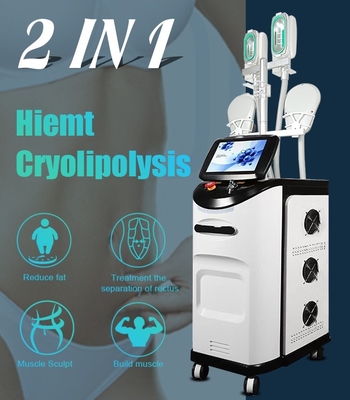 Körper-Sculpting Maschine 2 EMS Cryolipolysis in 1 für das fette Abbau-Körper-Umreißen