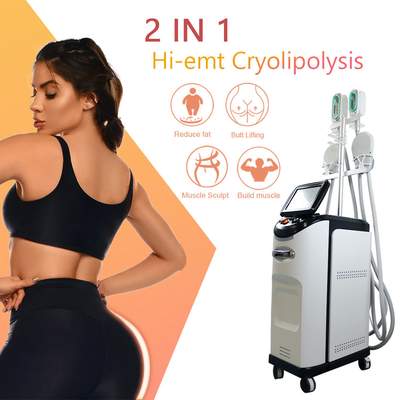 Maschine 360 Cryolipolyse EMS fetter einfrierender Cellulite-Abbau Cryo