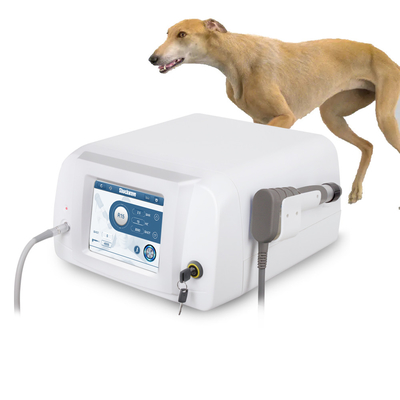 Pneumatische Schmerzlinderung Schockwelle Veterinärgerät Schockwellentherapie Maschine für Pferde