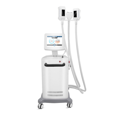 Fetter Frost ABS Cryolipolysis, der Maschine für Bauch abnimmt