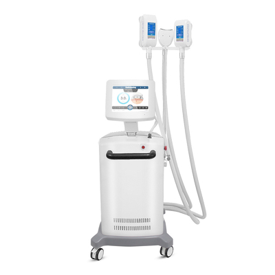 Cellulite-Reduzierung Cryolipolysis, das Maschine mit CER abnimmt