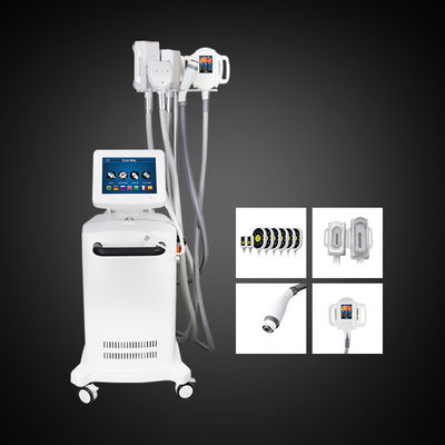 5 Griffe Cryolipolysis, das Maschinen-Bauch-Fettabbau-Maschine abnimmt