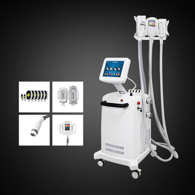 Cryomax Lipolaser 4 in 1 Körper, der Cryolipolysis abnimmt Maschine Sculpting ist