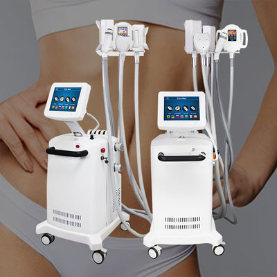 Fette schmelzende Maschine Cryolipolysis 360 Grad