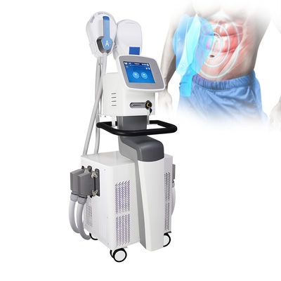 CER Maschine 4 Griffe EMS EMS SCULPTING bescheinigt für den Körper, der Muskel Buliding abnimmt