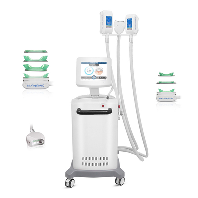 Cryolipolysis-Maschine für fettes einfrierendes 360° große Kontakt-Kühlfläche